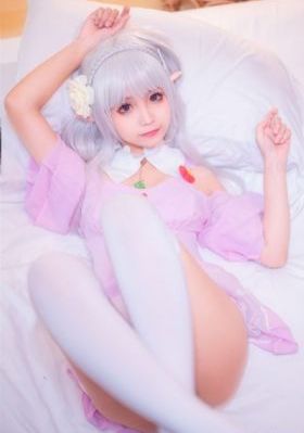 女士的法则电视剧免费观看