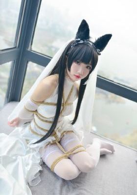 波岛野结衣